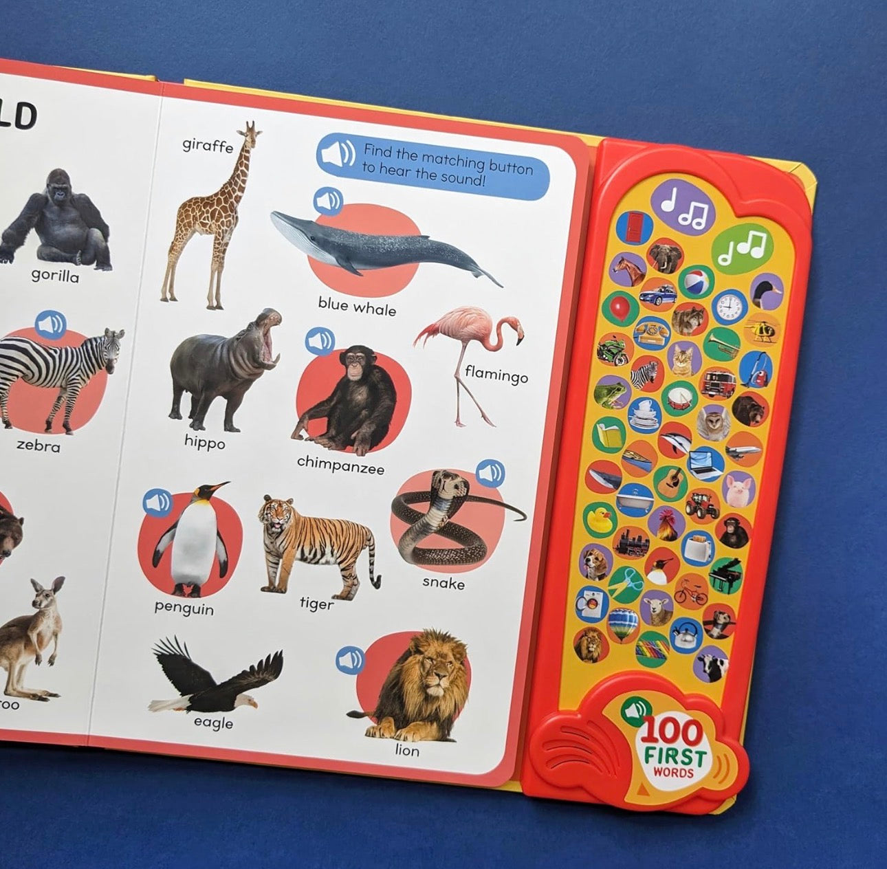 100 First Words: A Listen and Learn Sound Book !