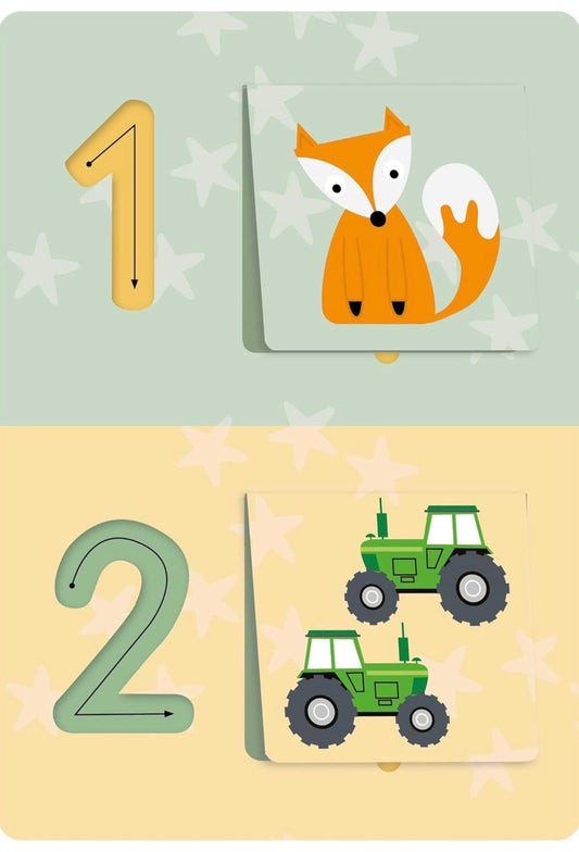 Counting Activity Flashcards: with Tracing and Lift-the-Flaps