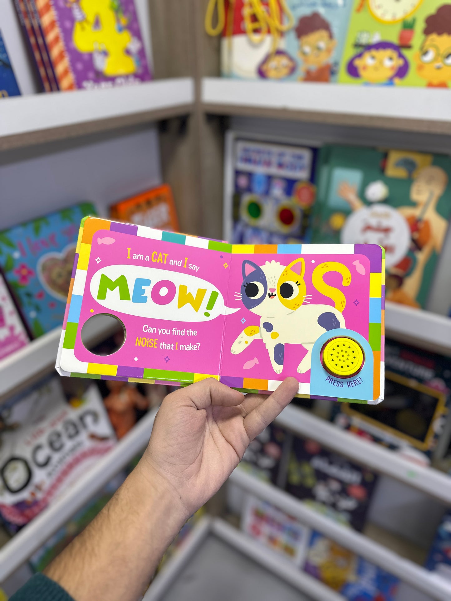 Sound Book Can You Find The Right Noise? Pets