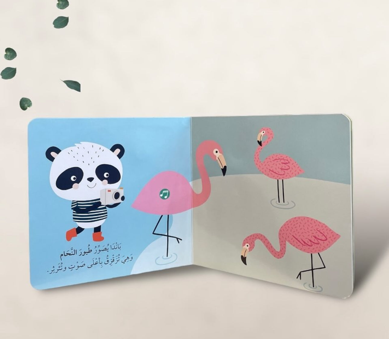 أضغط أسمع وأتعلم - باندا في حديقة الحيوانات