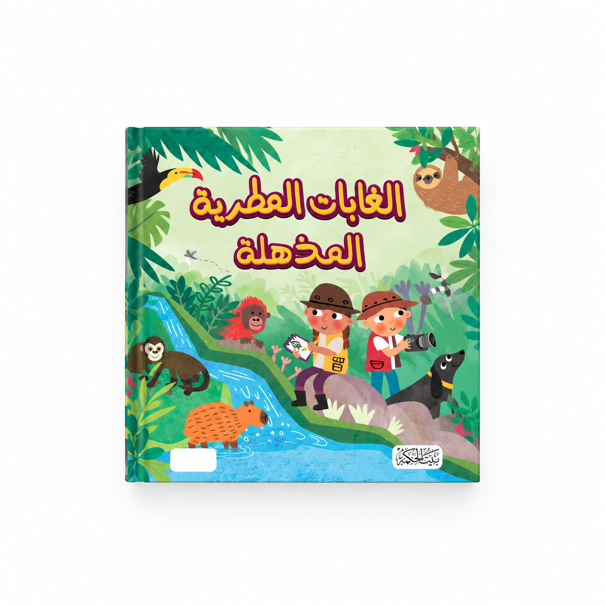 سلسلة هل تعلم-الغابات المطرية المذهلة