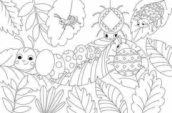 Surprise Coloring Nature