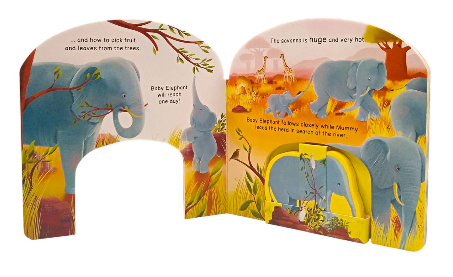 Baby Elephant's Big Day