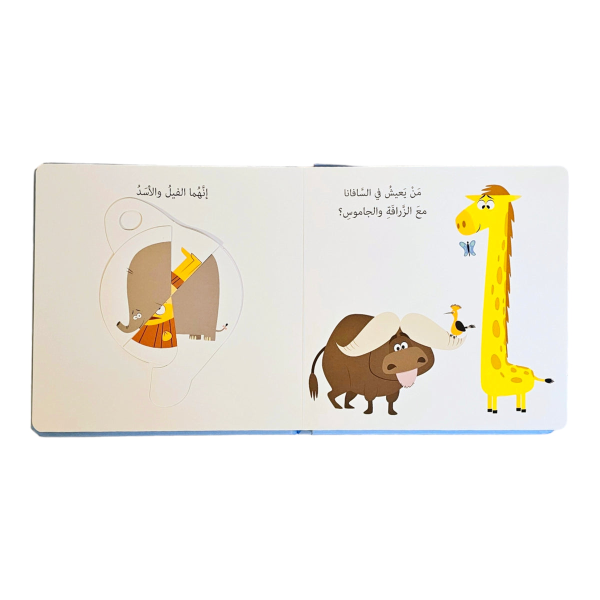 الحيوانات:دوّر واكتشف
