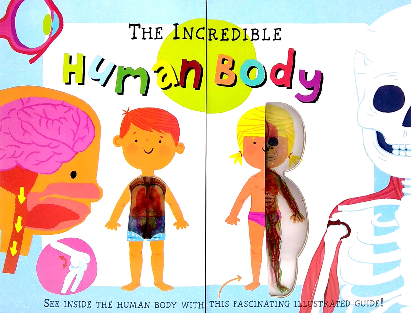 INCREDIBLE HUMAN BODY