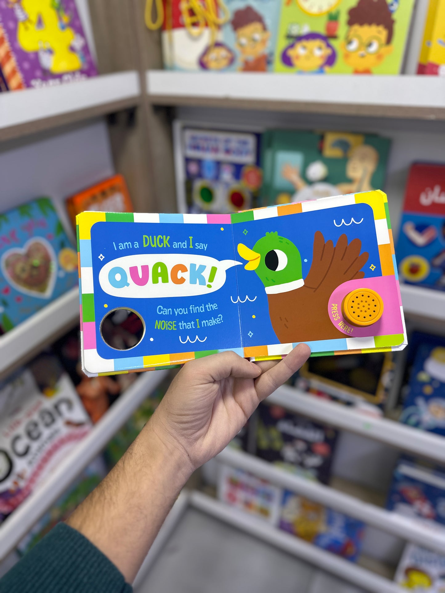 Sound Book Can You Find The Right Noise? Farm