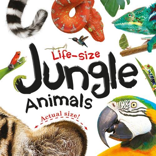 Life-size : Jungle Animals