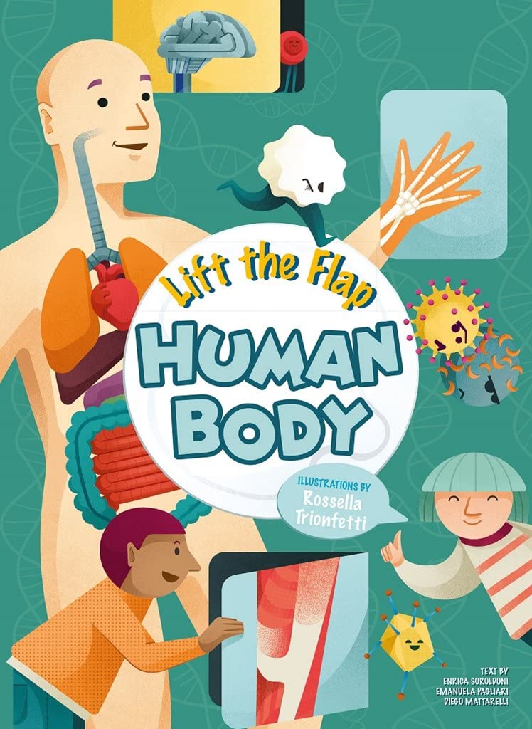 Lift the Flap - Human Body