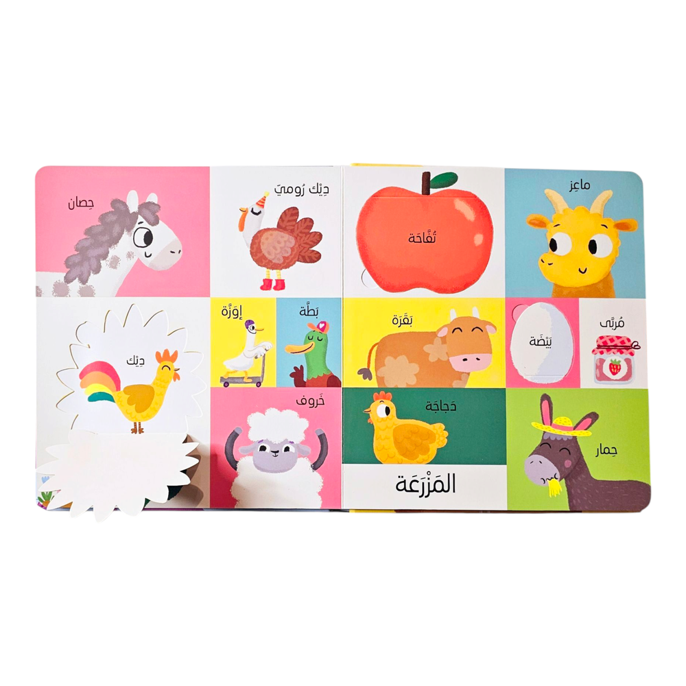 أول 100 كلمة  الحيوانات