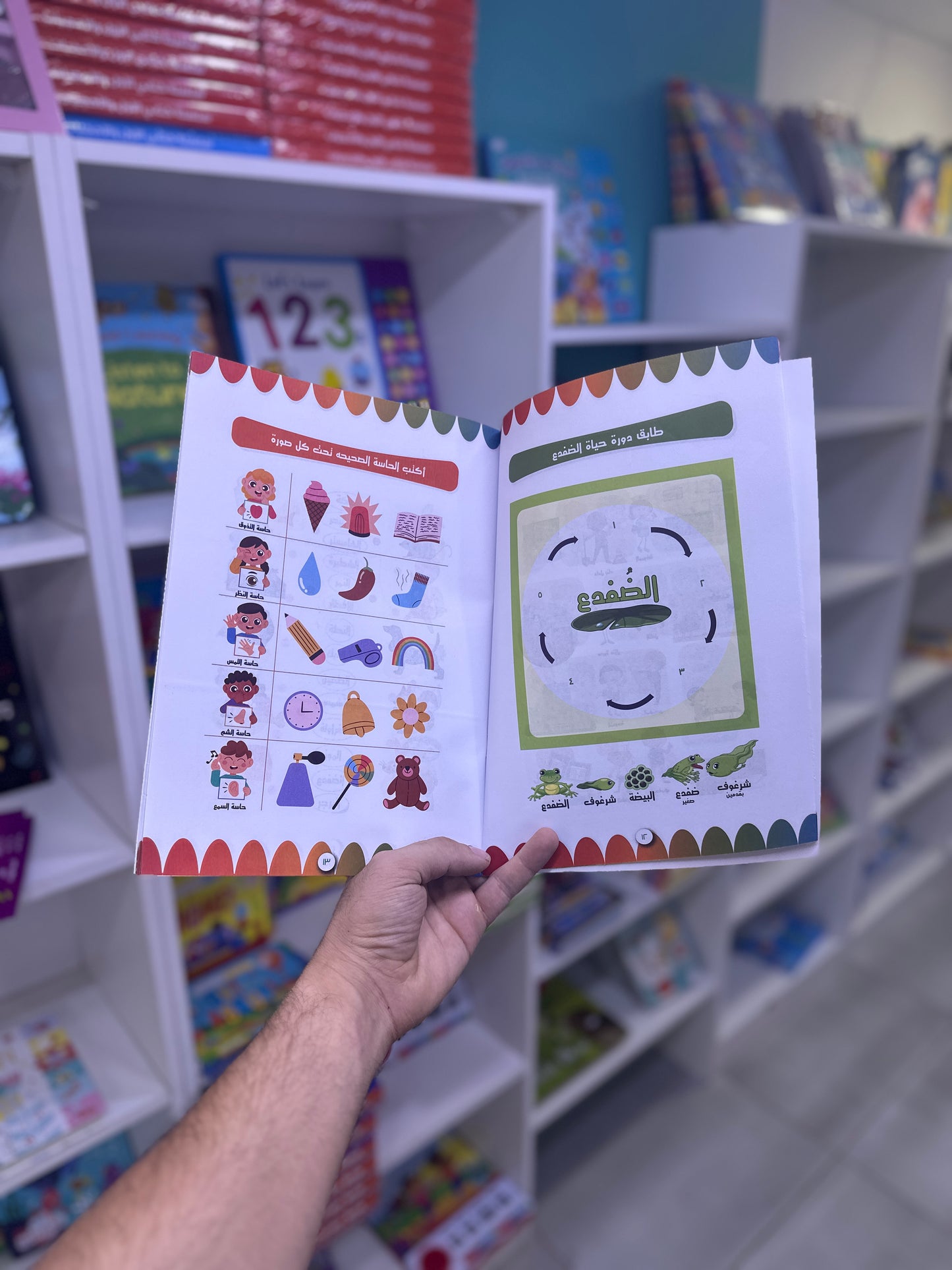 مجموعة تنمية مهارات الطفل - 10 كتب