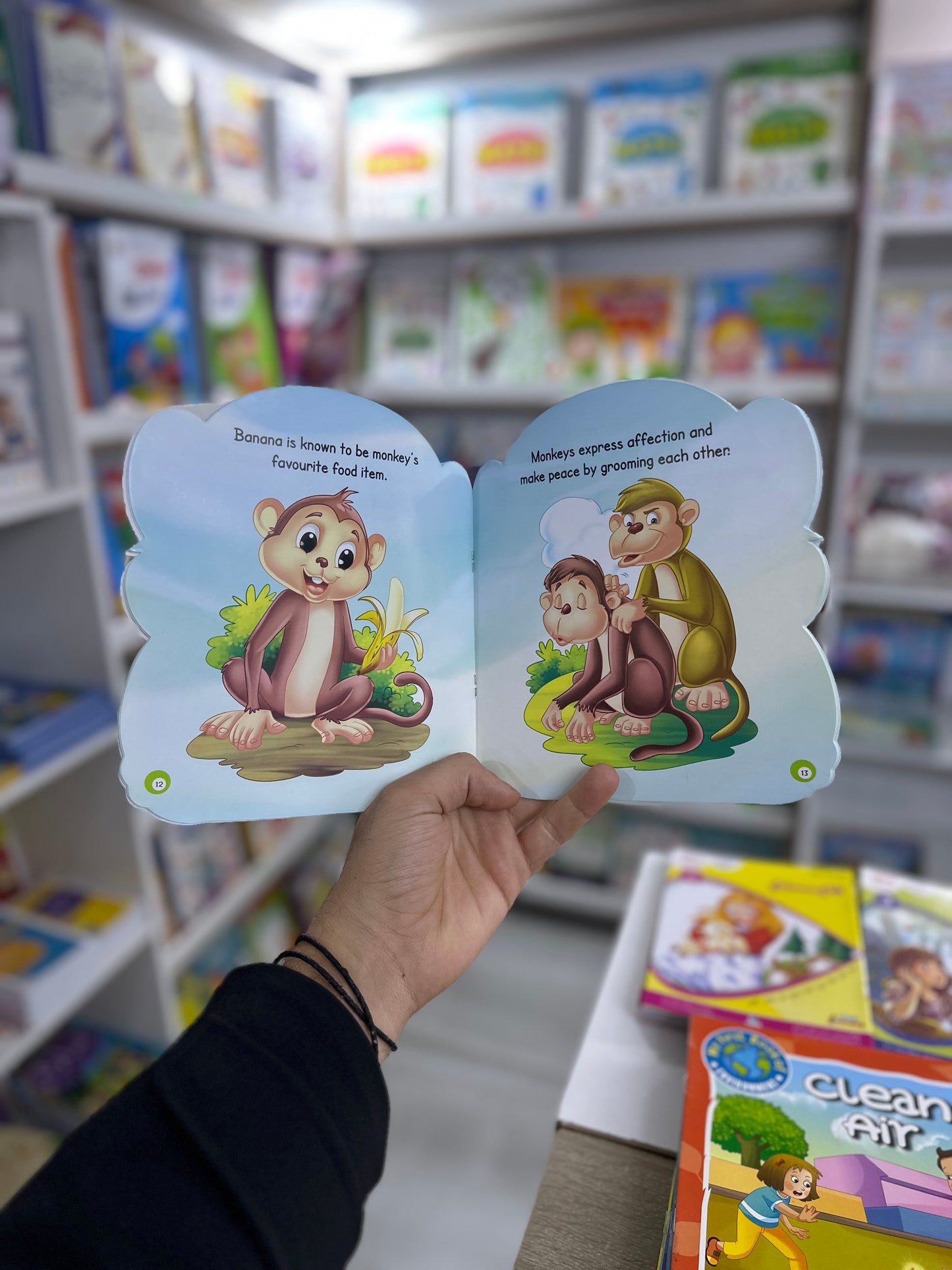 All about me- monkey