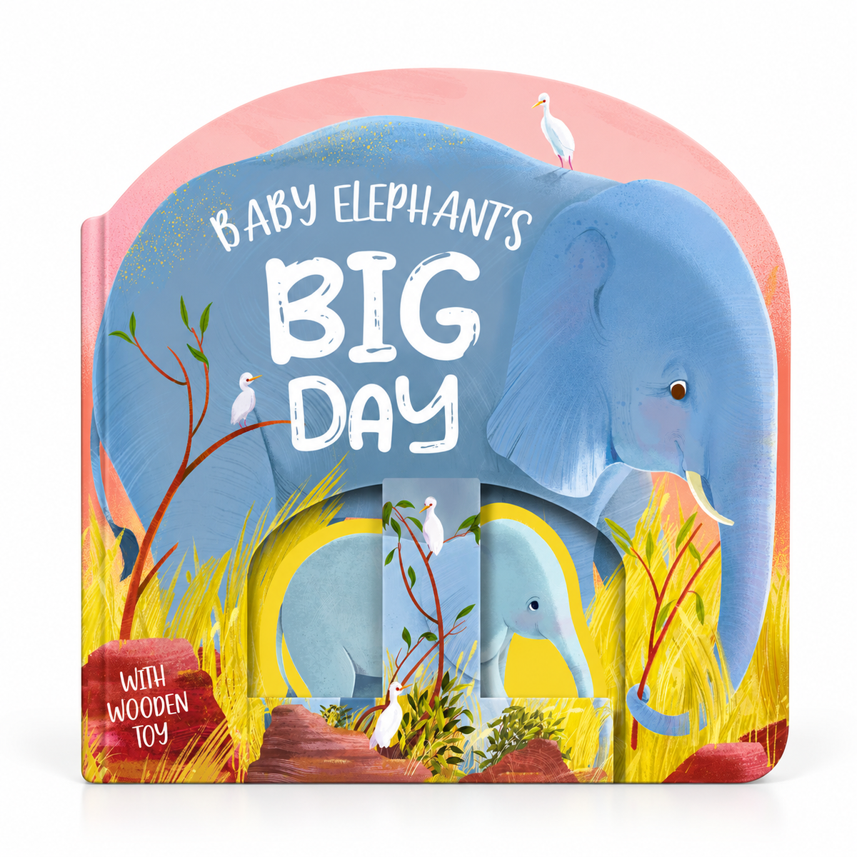 Baby Elephant's Big Day