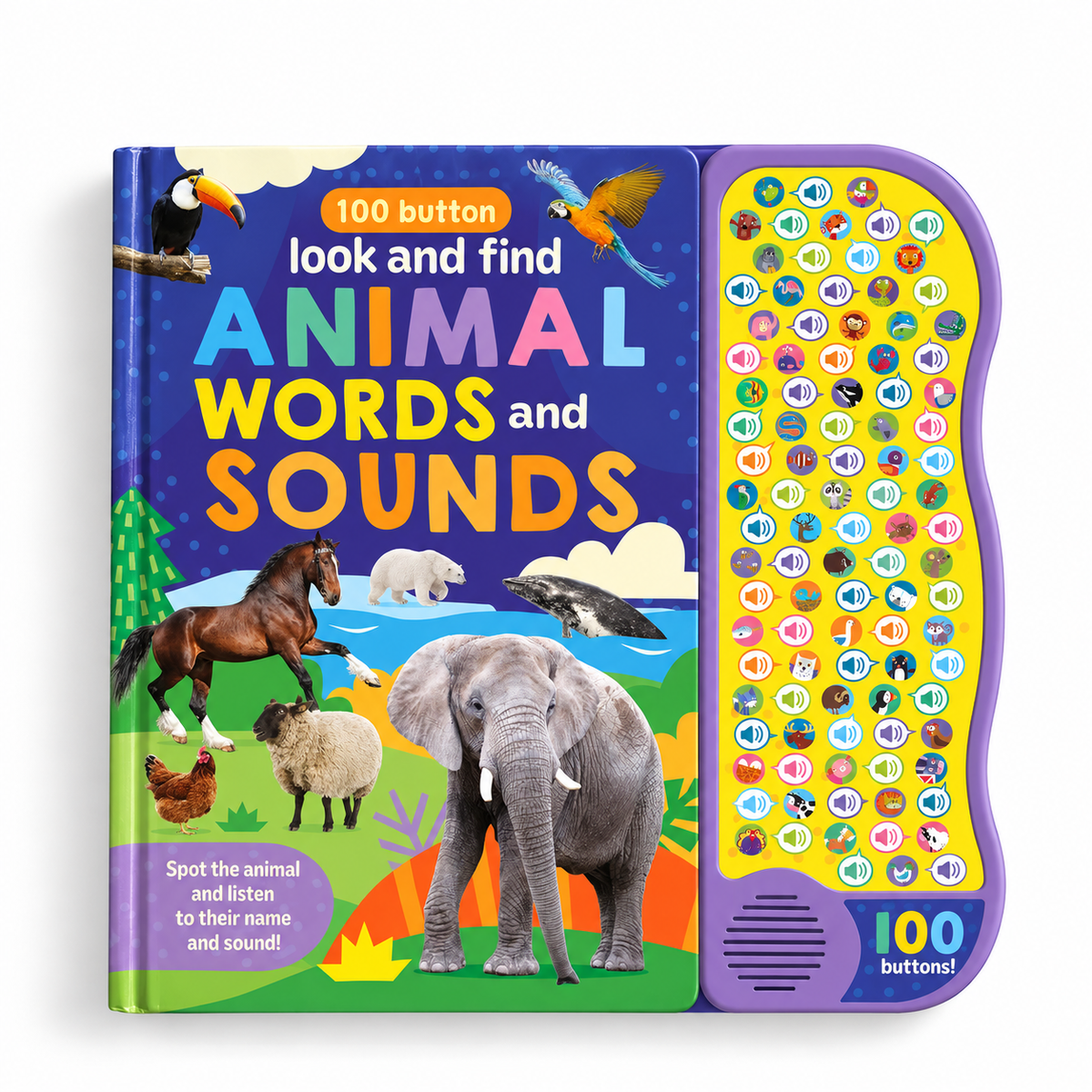Look And Find Animal Words & Sounds - Children's 100 Button Sound Book