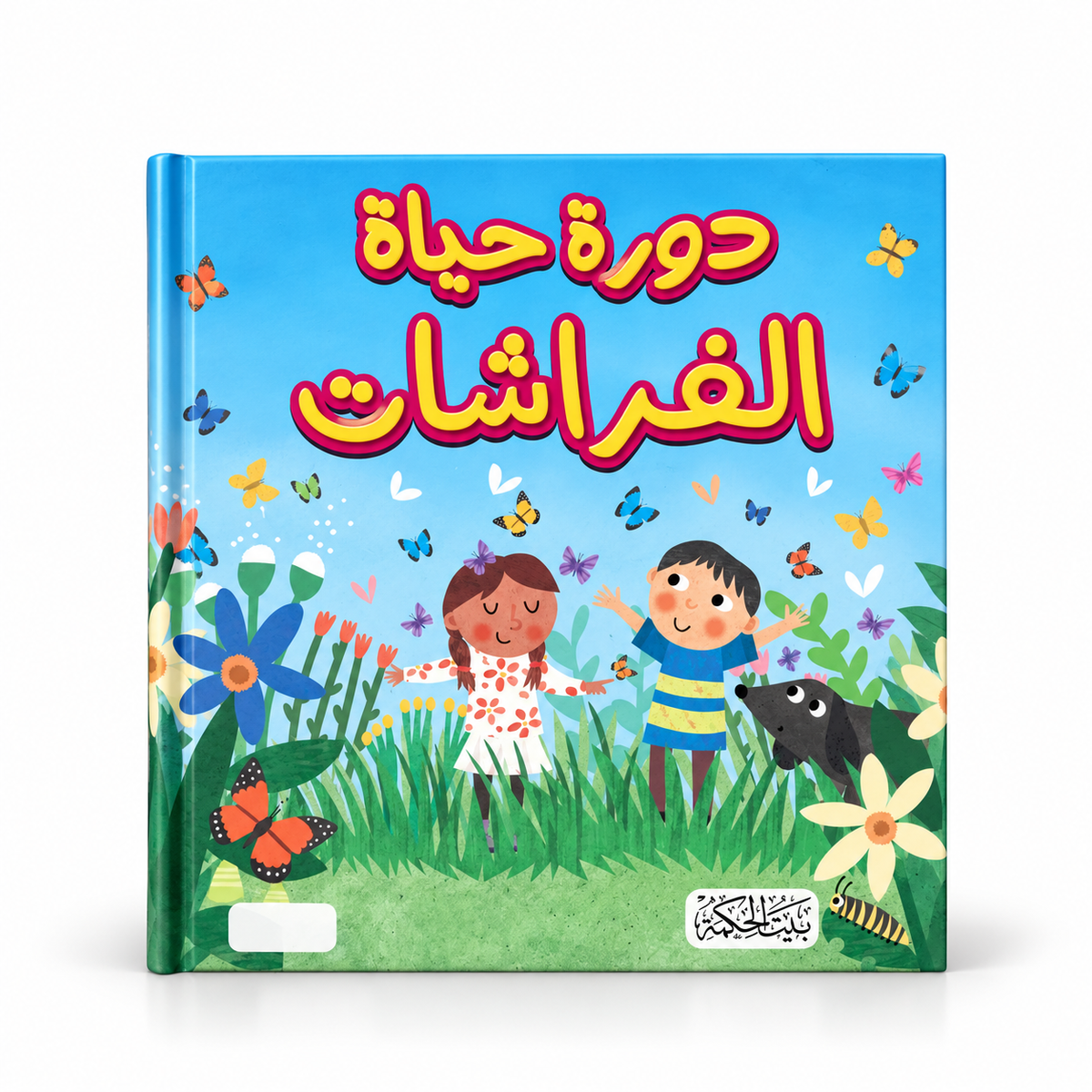 سلسة هل تعلم-دورة حياة الفراشات