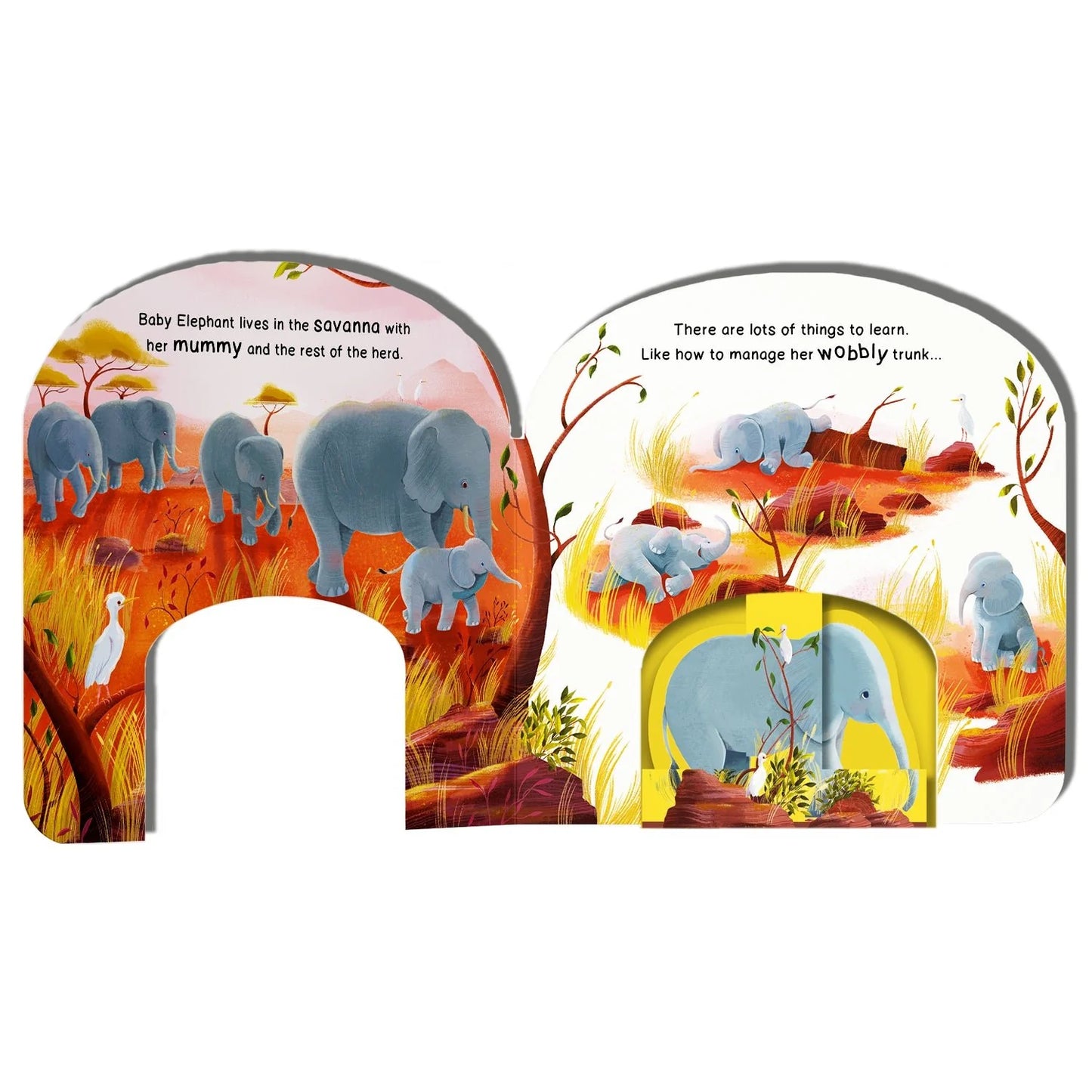 Baby Elephant's Big Day