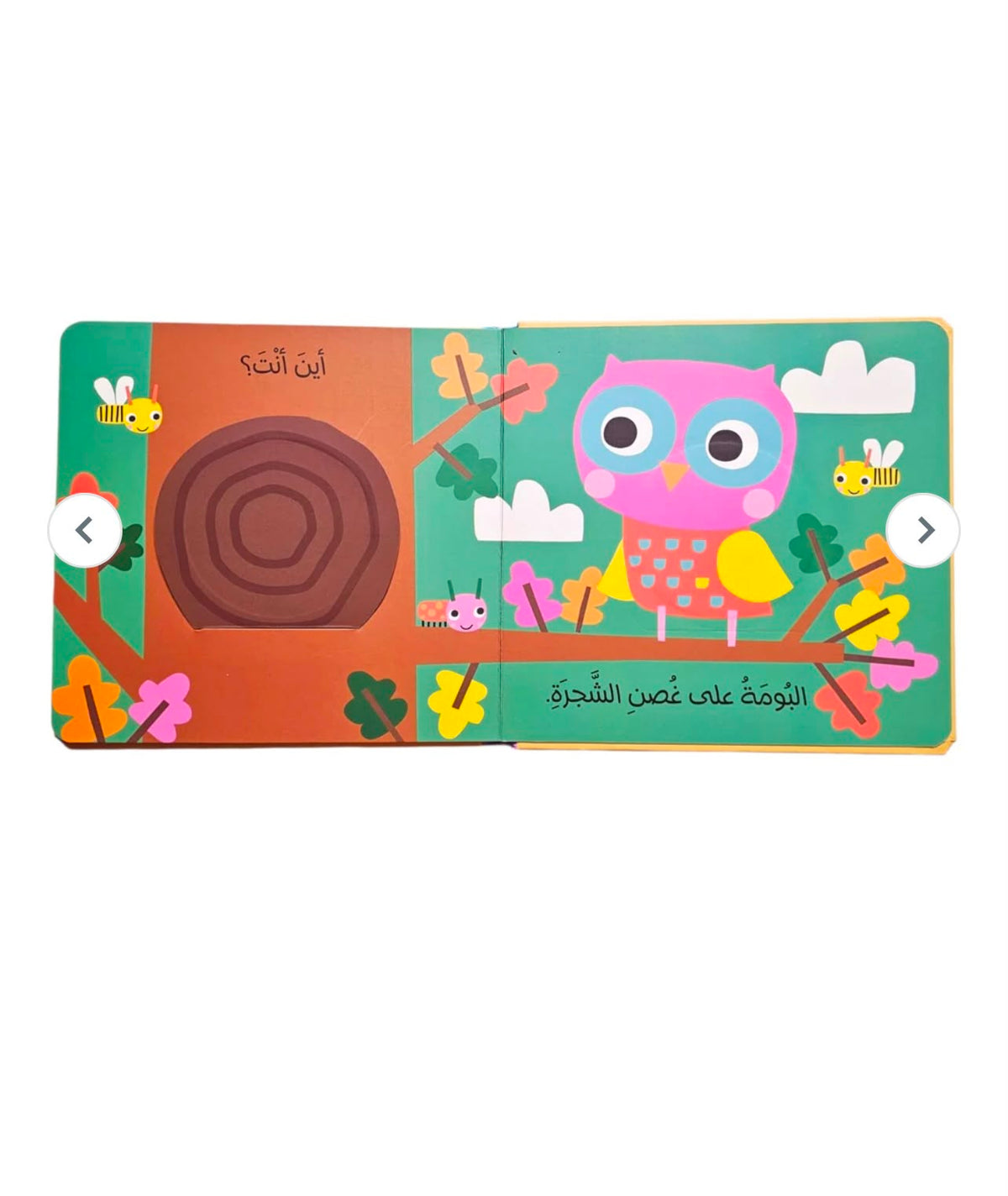 الدب فب الغابة: أنظر من هنا!