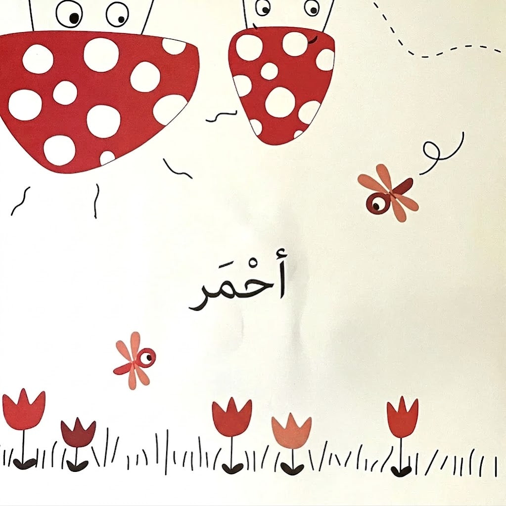 الألوان:اكتشف وتلمّس