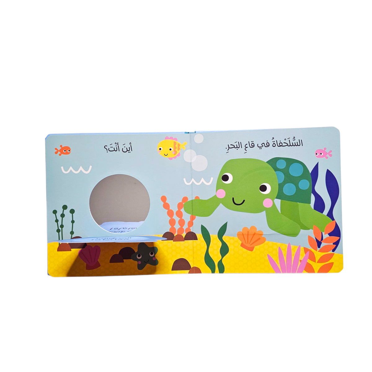 الحوت في المحيط: أنظر من هنا