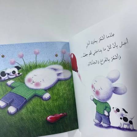 سلسلة المشاعر (عندما أشعربخيبة الأمل)