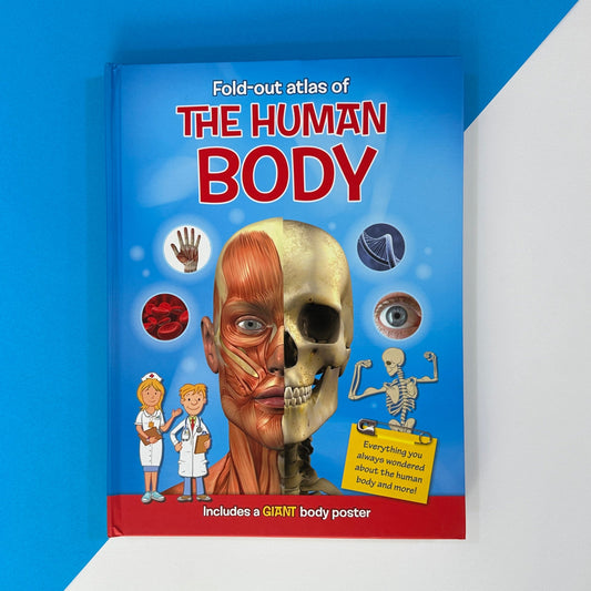 Fold-Out Atlas of the Human Body