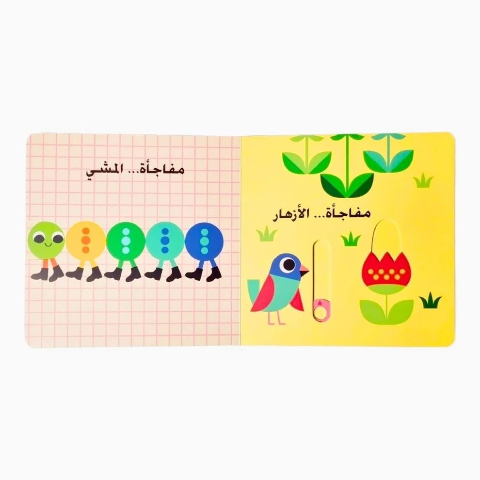 نظرة خاطفة ومفاجآت: الصوص