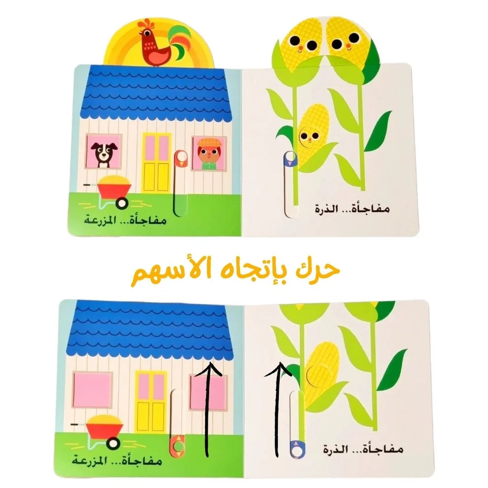 نظرة خاطفة ومفاجآت: البقرة